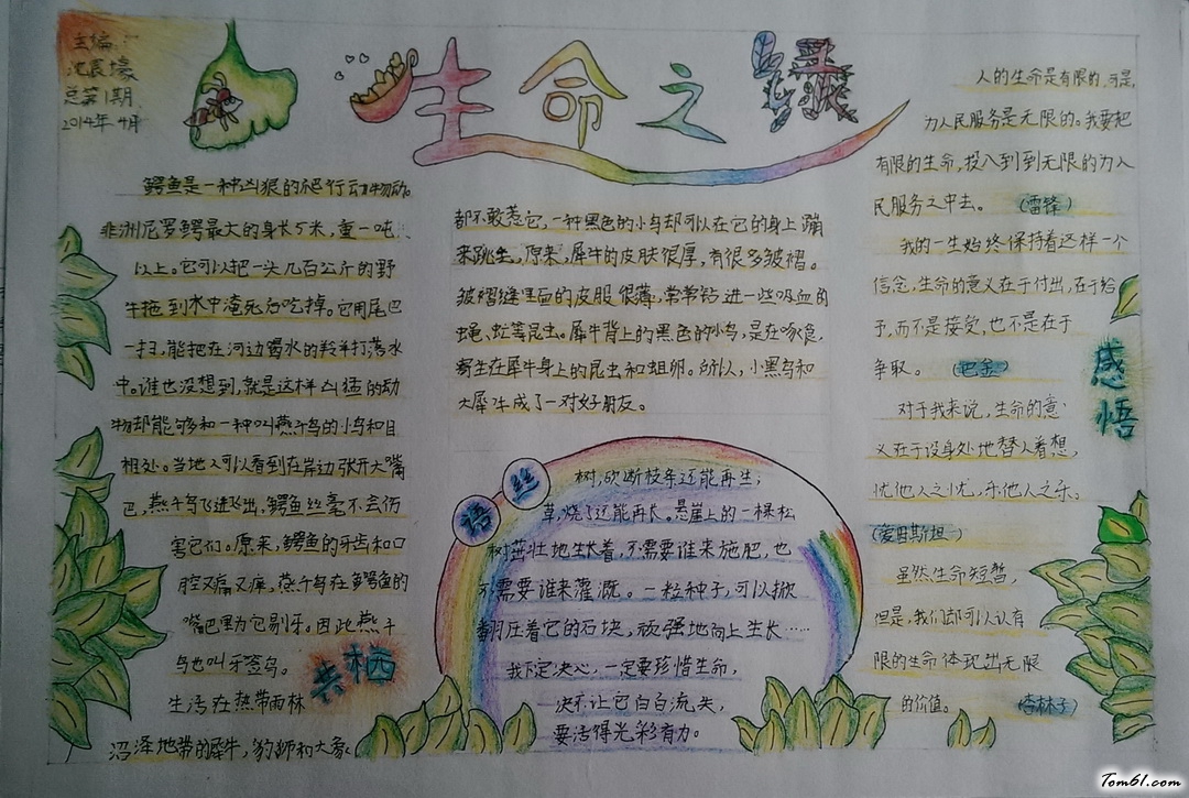 生命之绿手抄报版面设计图图片1