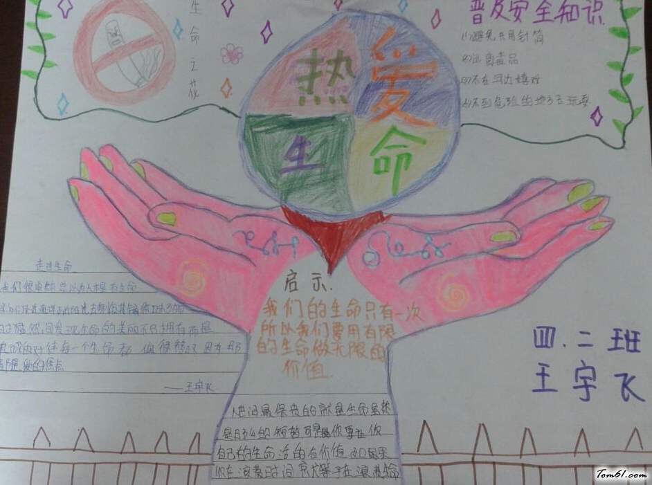 小学生热爱生命手抄报版面设计图图片1