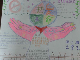 小学生热爱生命手抄报版面设计图