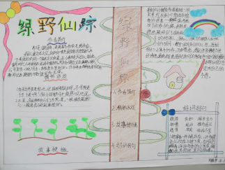 四年级绿野仙踪手抄报版面设计图4