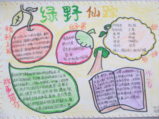 四年级绿野仙踪手抄报版面设计图3