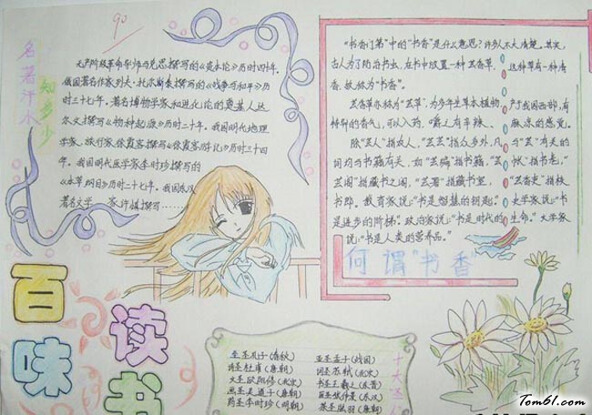 简单漂亮语文手抄报版面设计图2图片1