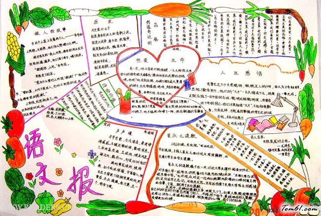 简单漂亮语文手抄报版面设计图7图片1