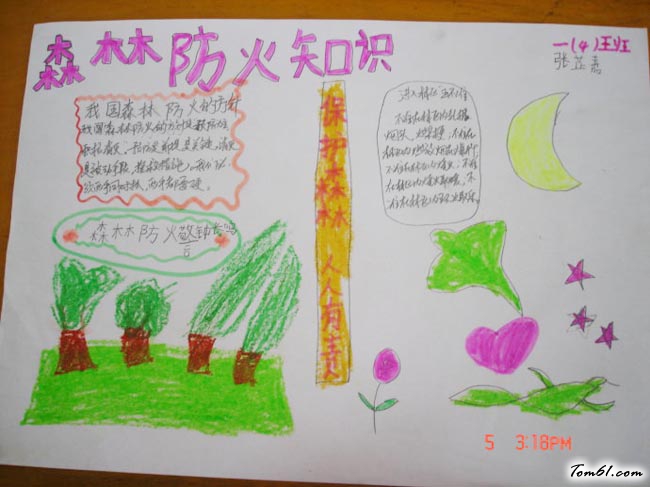 清明节森林防火手抄报版面设计图图片1