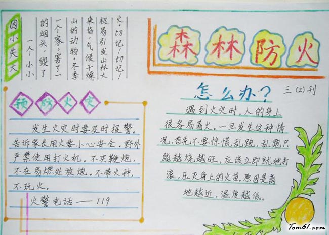 清明节森林防火手抄报版面设计图2图片1
