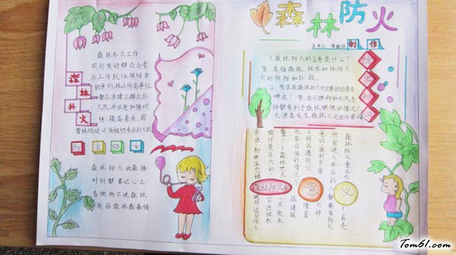 清明节森林防火手抄报版面设计图4图片1
