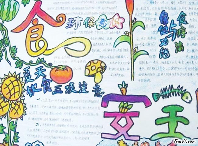 漂亮简单安全手抄报版面设计图11图片1