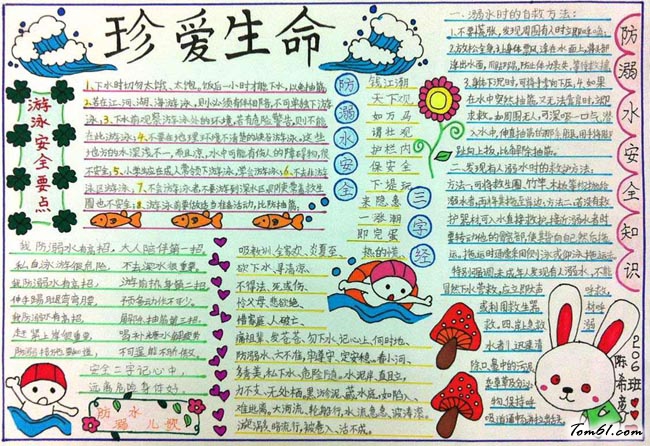 漂亮简单安全手抄报版面设计图15图片1