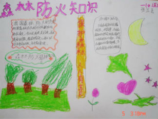 清明节森林防火手抄报版面设计图