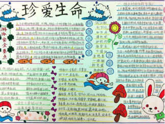 漂亮简单安全手抄报版面设计图15