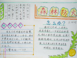 清明节森林防火手抄报版面设计图2