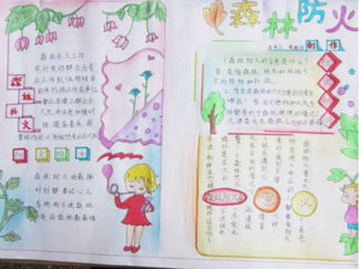 清明节森林防火手抄报版面设计图4