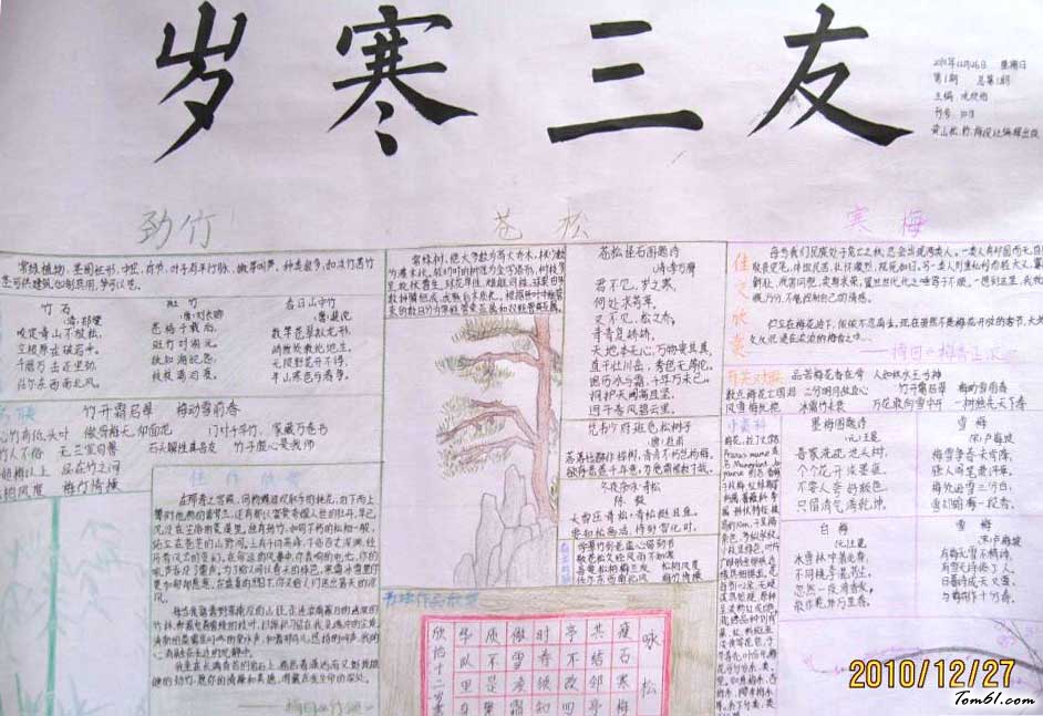 松竹梅岁寒三友手抄报版面设计图图片1