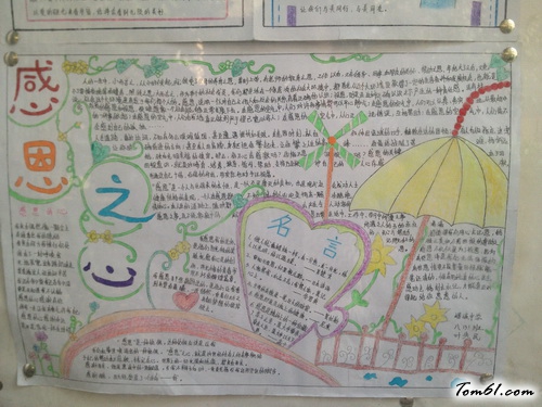 感恩之心的手抄报版面设计图3图片1