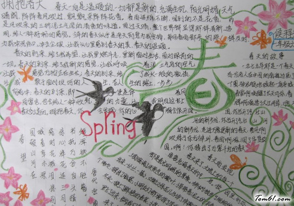 充满生机的春天手抄报版面设计图图片1