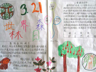 让森林走进城市手抄报版面设计图3