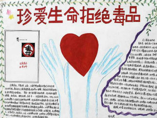 戒毒手抄报版面设计图3