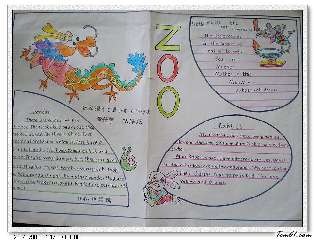 小动物的学生英语手抄报版面设计图图片1