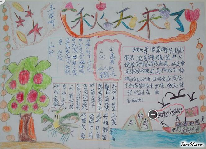 秋天的图画手抄报版面设计图3图片1