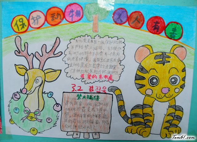 五年级语文手抄报版面设计图图片1