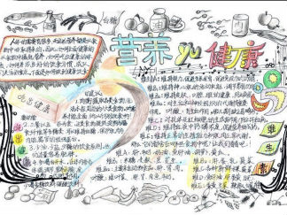 小学生健康手抄报版面设计图3