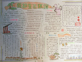 生态环保手抄报版面设计图2