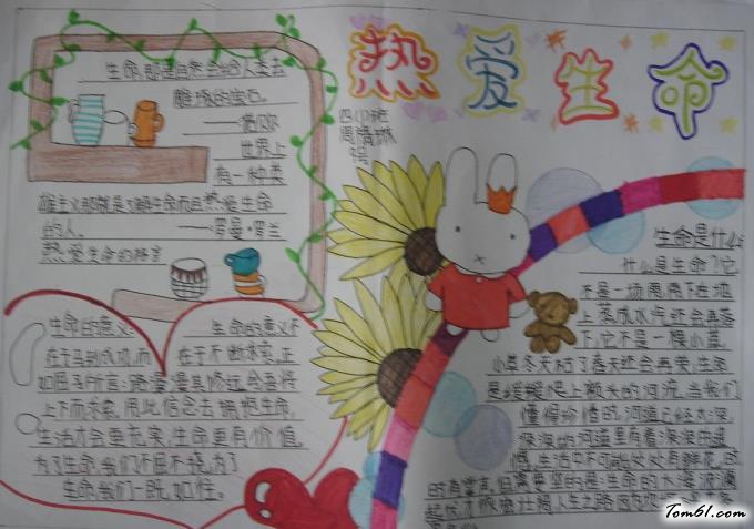 热爱生命手抄报版面设计图2图片1