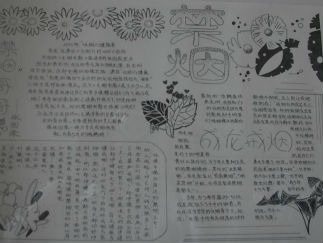 禁烟黑白手抄报版面设计图