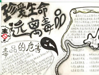 小学生禁毒手抄报版面设计图3