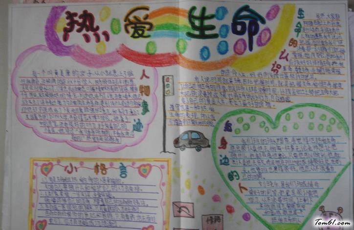 小学生热爱生命手抄报版面设计图3图片1