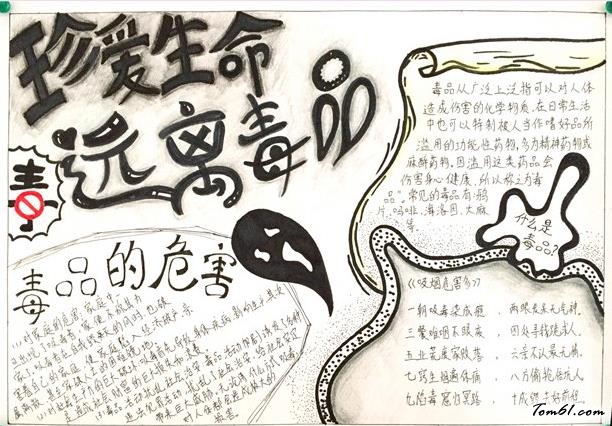 小学生禁毒手抄报版面设计图3图片1