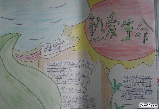 简单又好看的热爱生命手抄报版面设计图图片1