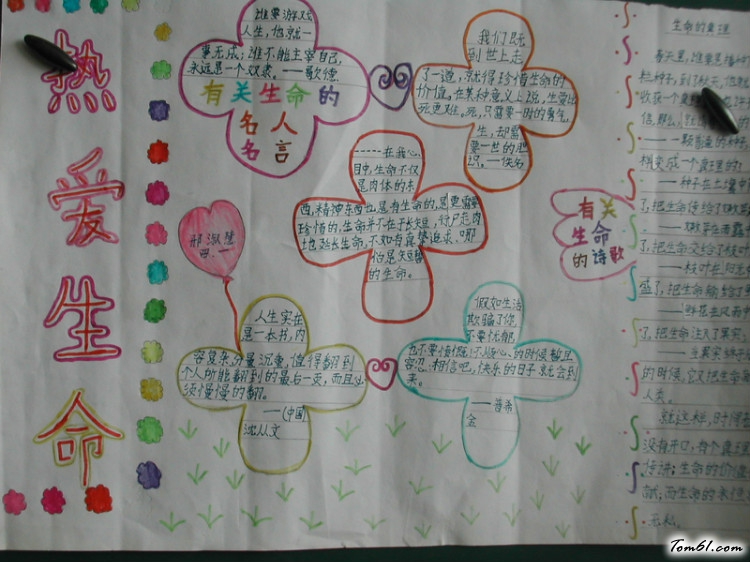 热爱生命的手抄报版面设计图8图片1