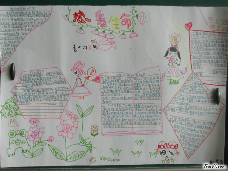 小学生热爱生命手抄报版面设计图6图片1