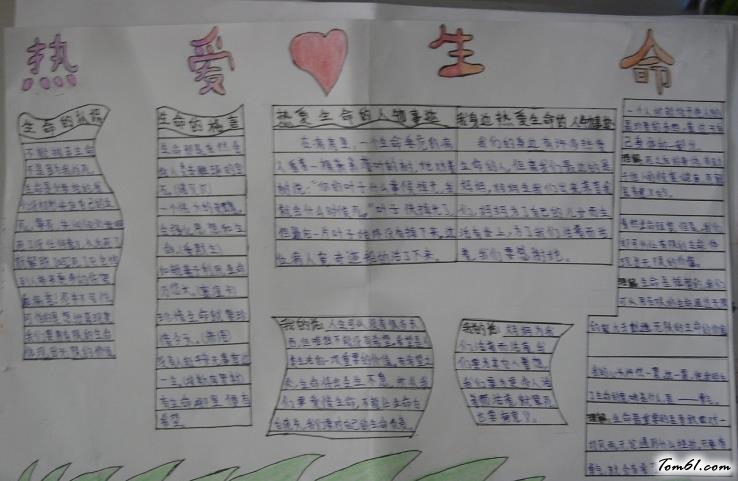 热爱生命的手抄报版面设计图图片1