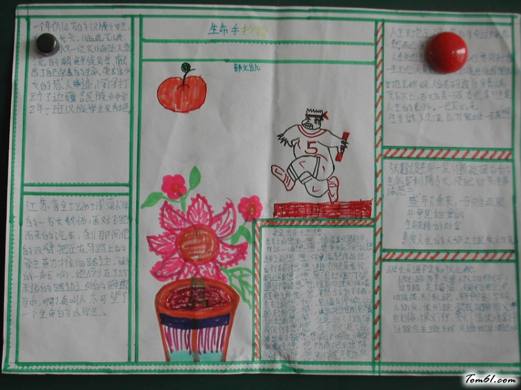 热爱生命的手抄报版面设计图2图片1