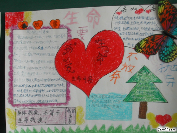热爱生命手抄报版面设计图10图片1