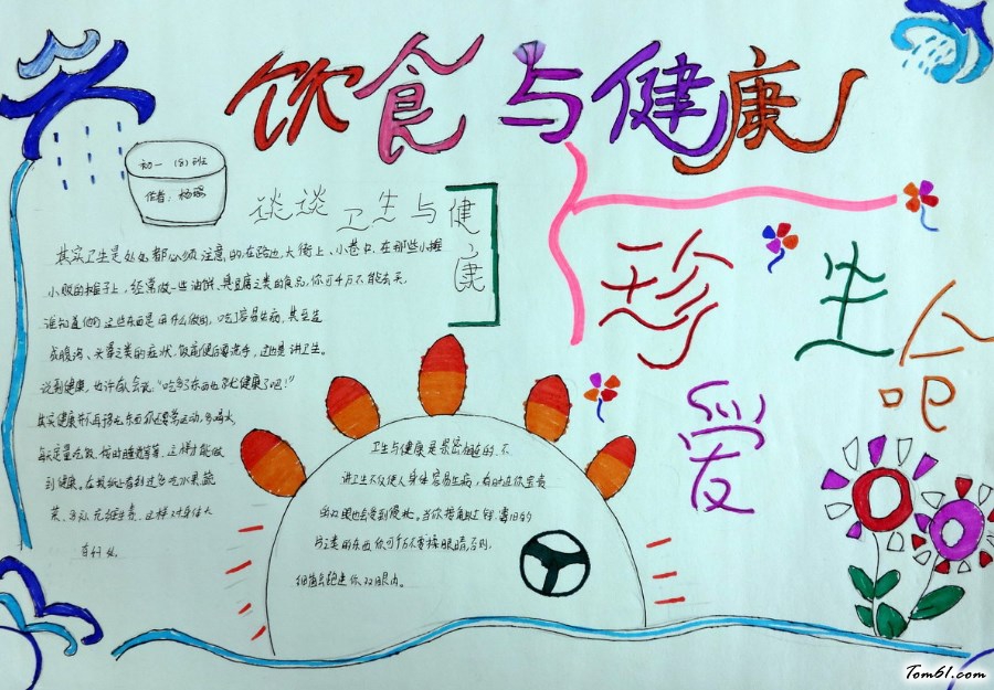 小学生卫生与健康手抄报版面设计图图片1