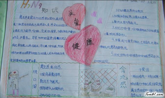 预防流感的手抄报版面设计图2图片1