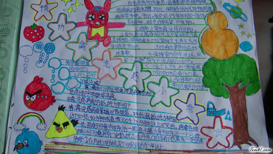 预防禽流感小常识手抄报版面设计图2图片1