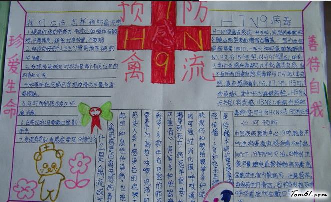 预防禽流感手抄报版面设计图图片1