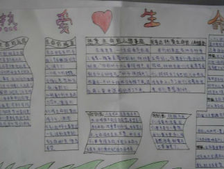 热爱生命的手抄报版面设计图