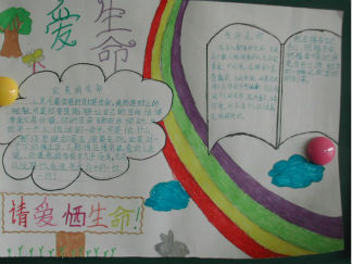 宝贵的生命手抄报版面设计图