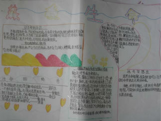 热爱生命手抄报版面设计图6