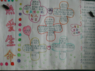 热爱生命的手抄报版面设计图8