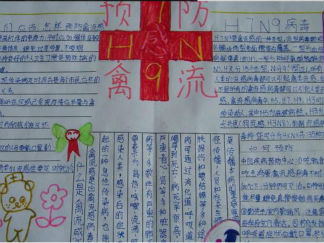 预防禽流感手抄报版面设计图