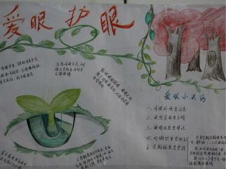 简单好看的爱护眼睛手抄报版面设计图