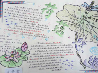 美丽的夏天手抄报版面设计图