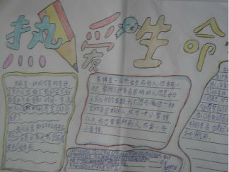 小学生热爱生命手抄报版面设计图4