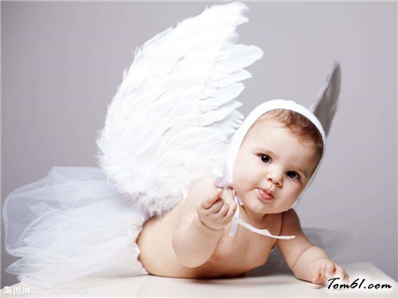 属狗的小名叫什么好_宝宝起名大全_父母学堂